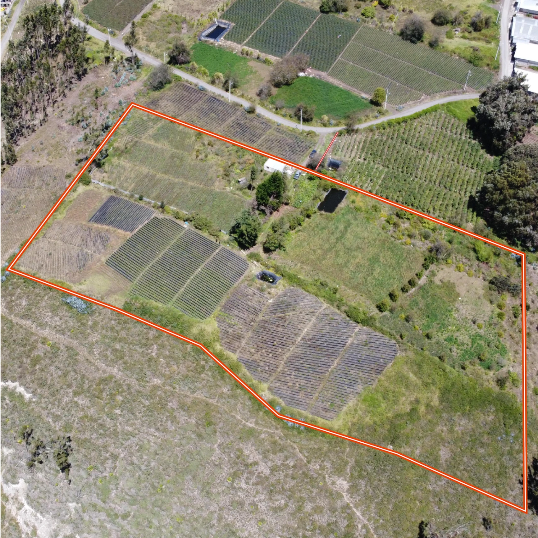Terreno/lote Campestre